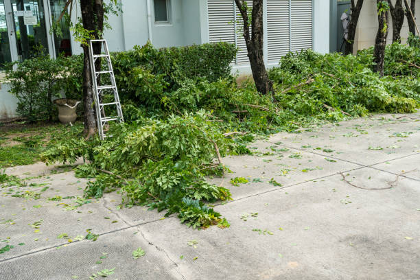 Lawn Pest Prevention in Dover Plains, NY